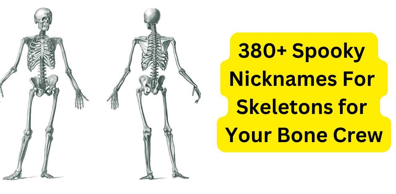 380+ Spooky Nicknames For Skeletons for Your Bone Crew