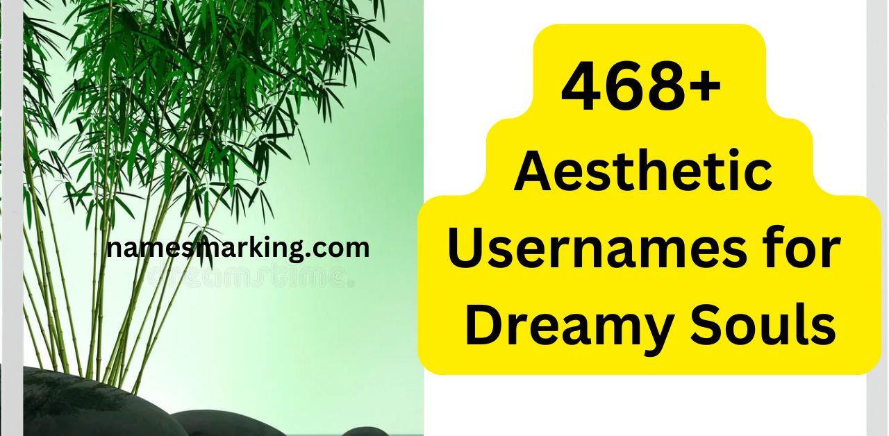 468 Aesthetic Usernames for Dreamy Souls