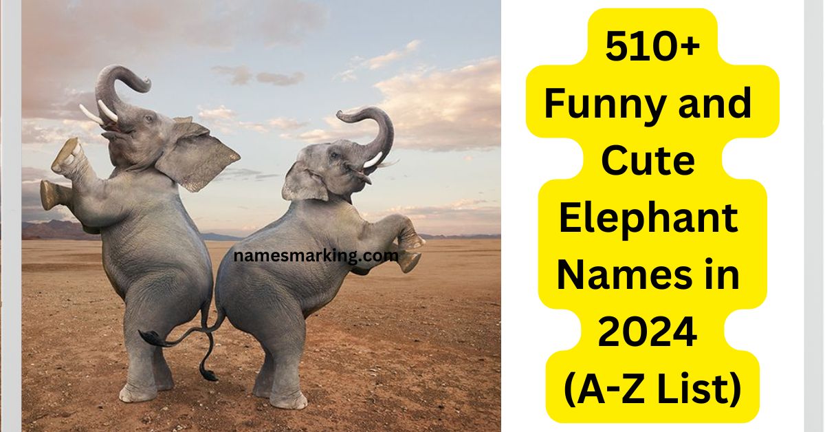 510+ Funny and Cute Elephant Names in 2024 (A-Z List)