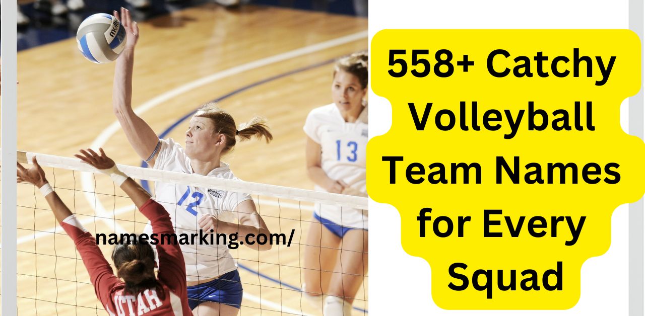 558 Catchy Volleyball Team Names for Every Squad