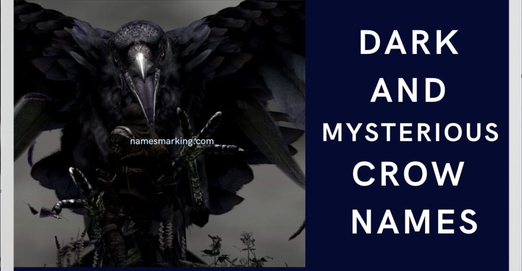 Dark and Mysterious Crow Names