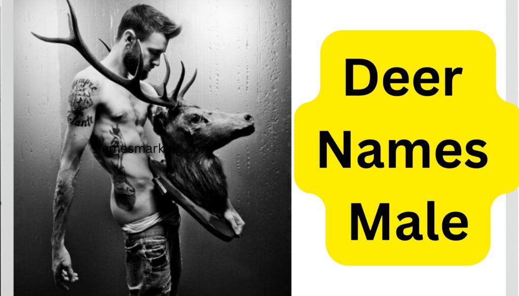 Deer Names Male