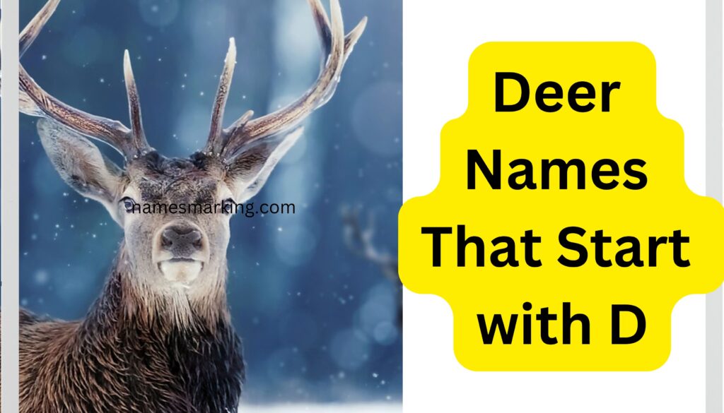 Deer Names That Start with D