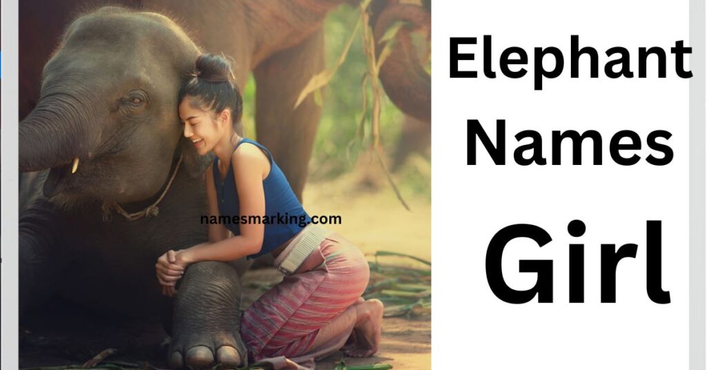 Elephant Names Girl