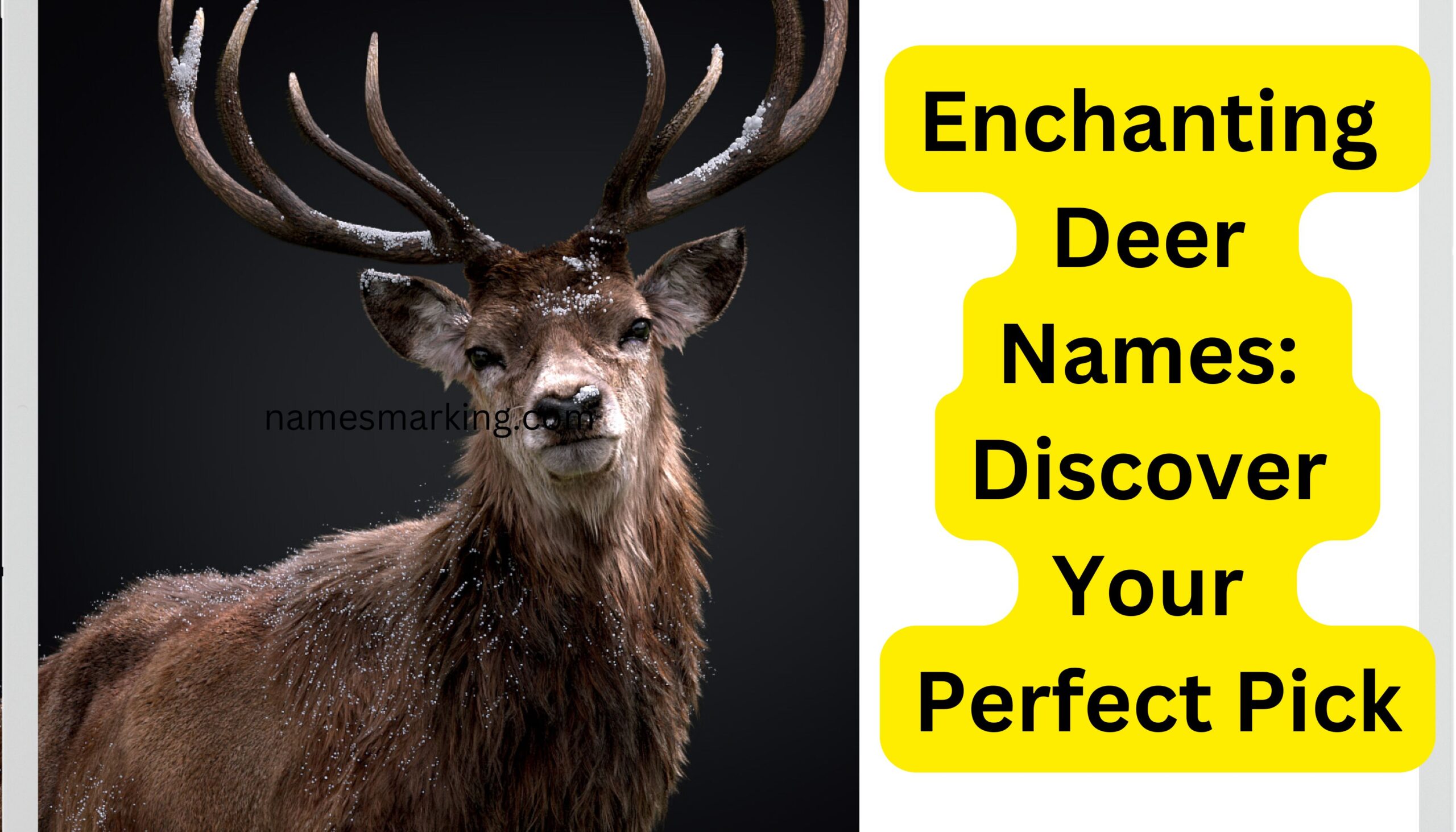 Enchanting Deer Names Discover Your Perfect Pick