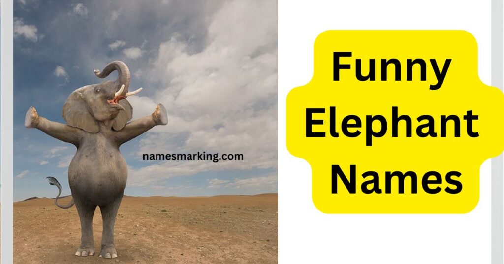 Funny Elephant Names