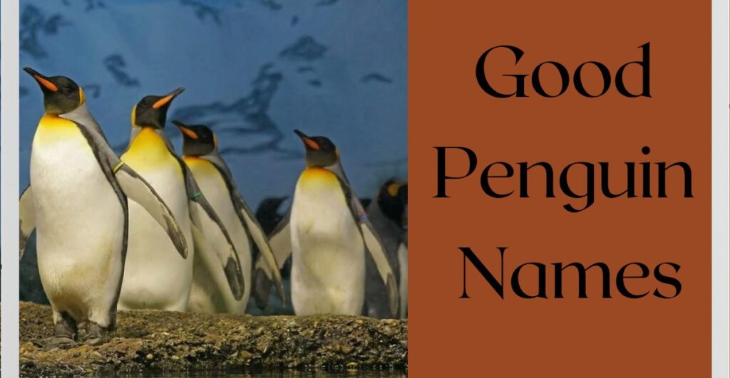 Good Penguin Names