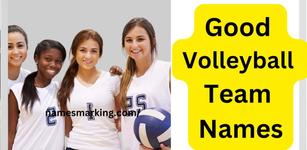 Good Volleyball Team Names