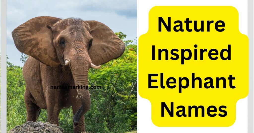 Nature Inspired Elephant Names