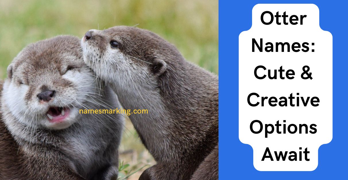 Otter Names Cute & Creative Options Await