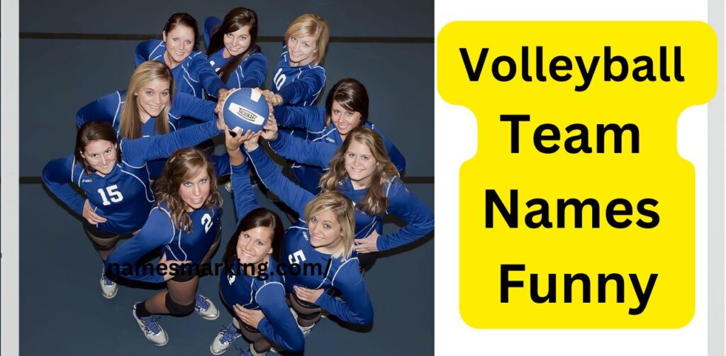 Volleyball Team Names Funny