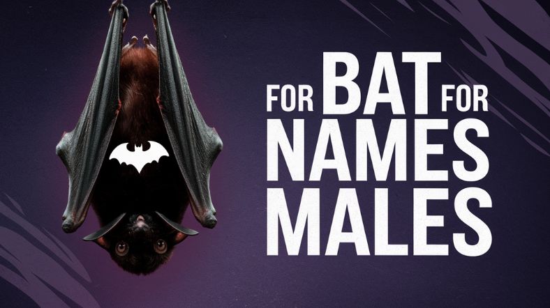 Bat Names for Males