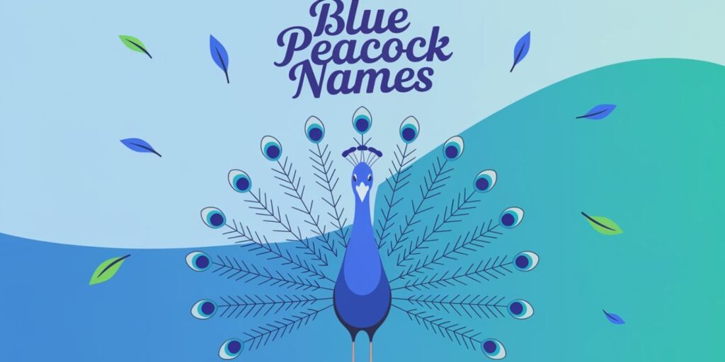 Blue Peacock Names