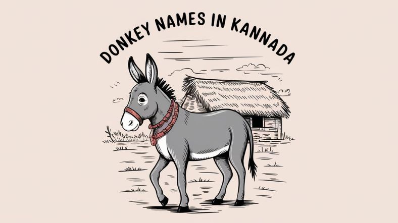 Donkey Names in Kannada