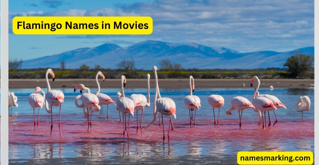 Flamingo Names in Movies