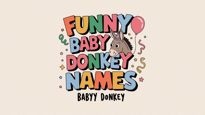 Funny Baby Donkey Names