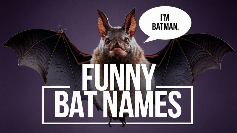 Funny Bat Names