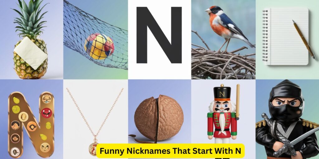 Funny Nicknames That Start With N