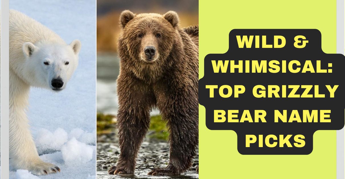 Wild & Whimsical Top Grizzly Bear Name Picks