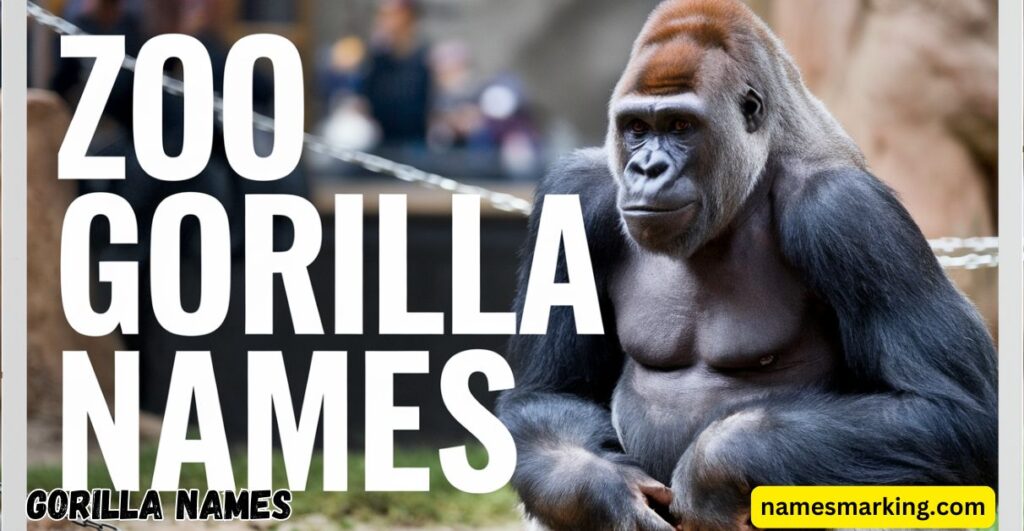 Zoo Gorilla Names