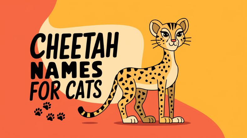 Cheetah Names for Cats